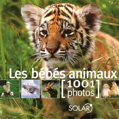 Les bébés animaux