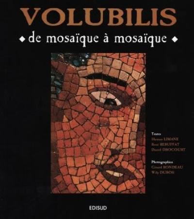 Volubilis : de mosaïque à mosaïque