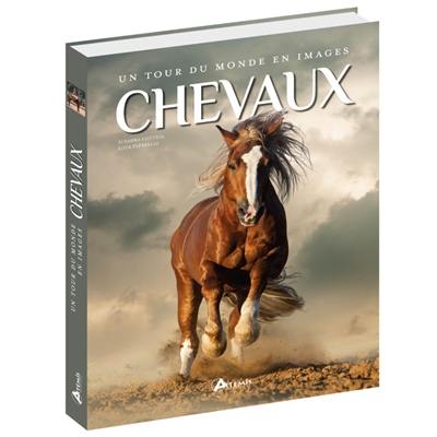 Chevaux : un tour du monde en images