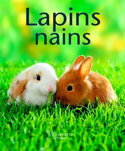 Lapins nains