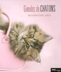 Gueules de chatons