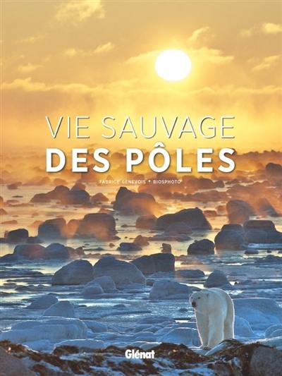 Vie sauvage des pôles