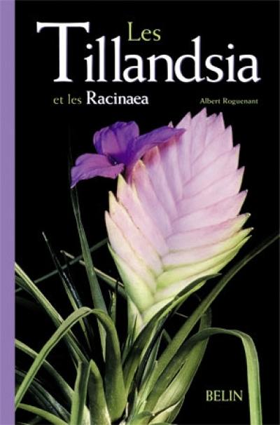 Les tillandsia et les racinaea