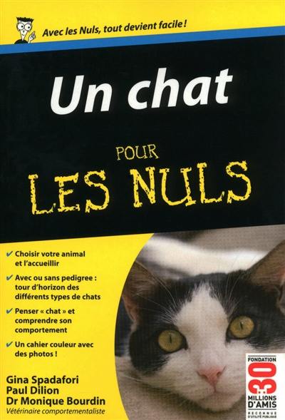 Un chat pour les nuls