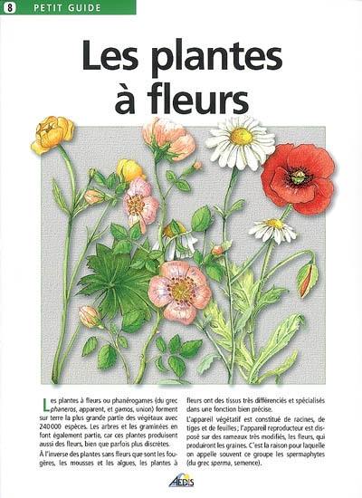 Les plantes à fleurs