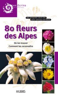 80 fleurs des Alpes : où les trouver, comment les reconnaître