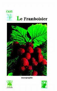 Le framboisier