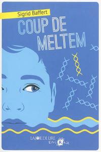 Coup de Meltem