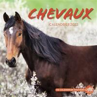 Chevaux : calendrier 2022