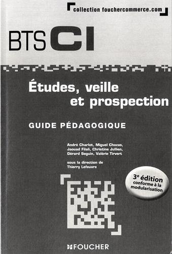 Etudes, veille et prospection : BTS CI, 1re année : guide pédagogique