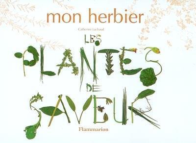 Les plantes de saveurs