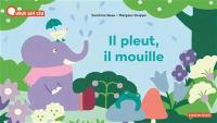 Il pleut, il mouille