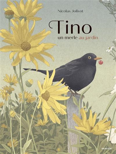 Tino : un merle au jardin