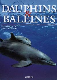 Dauphins et baleines