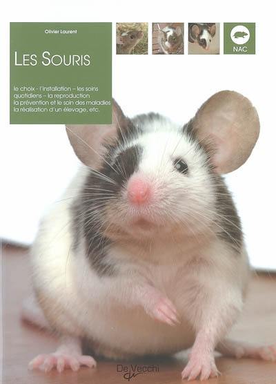 Les souris