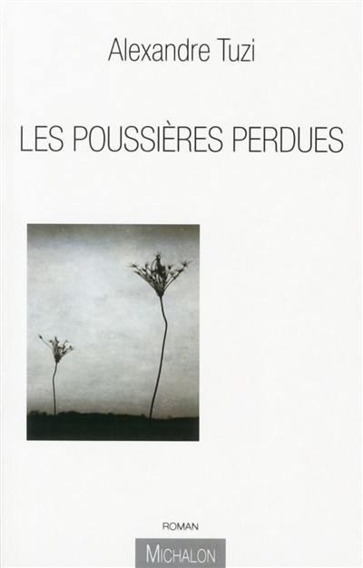 Les poussières perdues