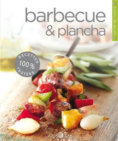 Barbecue et plancha