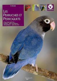 Les perruches et perroquets