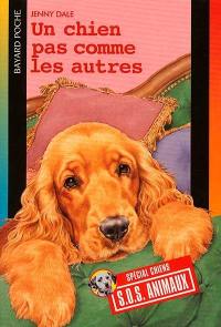 Un chien pas comme les autres