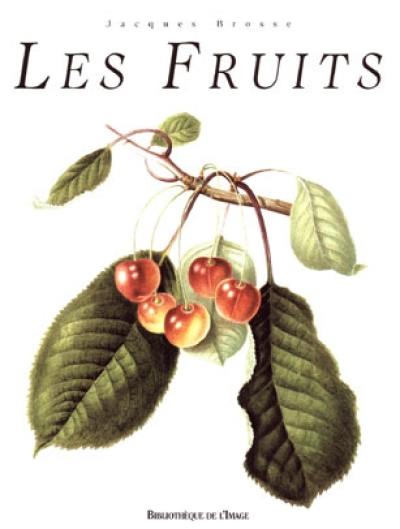 Les fruits