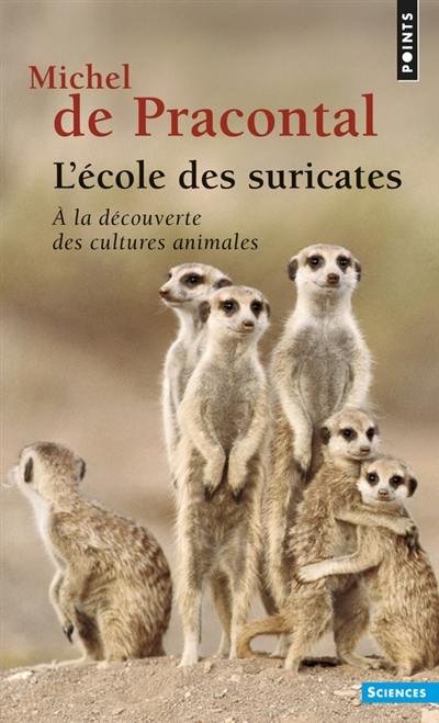 L'école des suricates : à la découverte des cultures animales