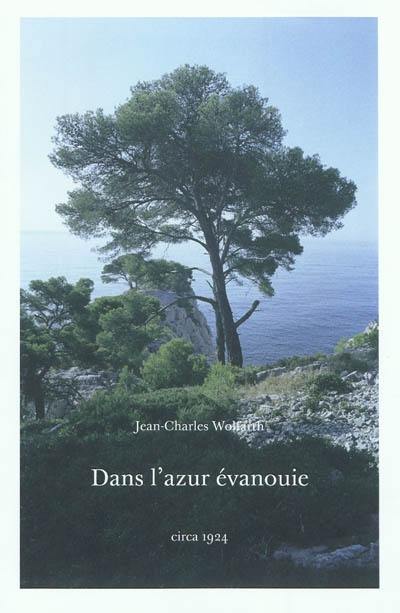 Dans l'azur évanouie