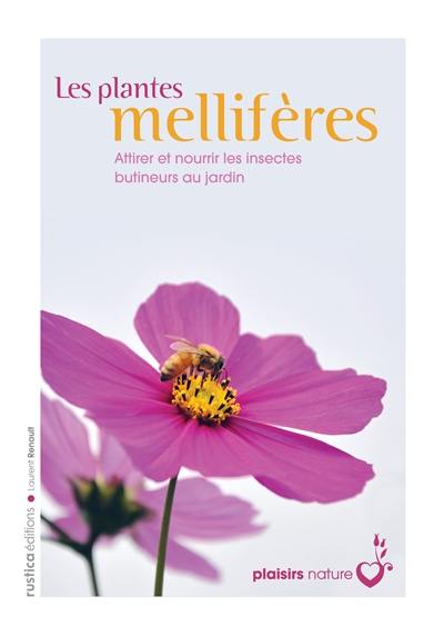 Les plantes mellifères : attirer et nourrir les insectes butineurs au jardin