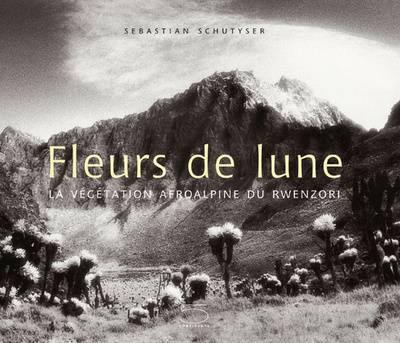 Fleurs de lune : la végétation afroalpine du Rwenzori