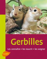 Gerbilles : les connaître, les nourrir, les soigner