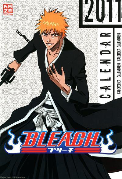 Bleach : calendrier 2010-2011