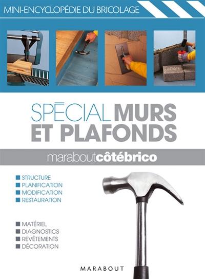 Spécial murs et plafonds