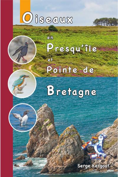 Oiseaux en presqu'île et pointe de Bretagne