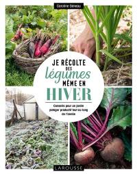 Je récolte des légumes même en hiver : conseils pour un jardin potager productif tout au long de l'année