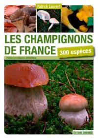 Les champignons de France : 300 espèces : découvrir, identifier, ramasser