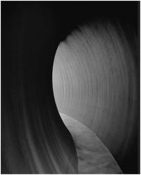 Richard Serra 2014