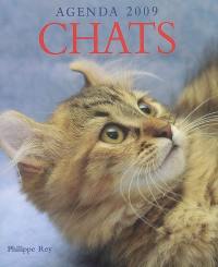 Chats : agenda 2009