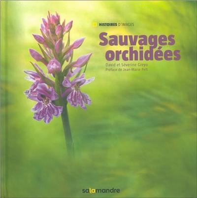 Sauvages orchidées