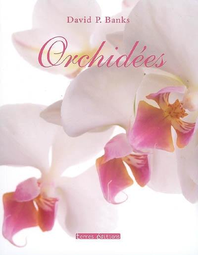 Orchidées