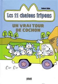 Les 11 chatons fripons. Un vrai tour de cochon