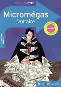 Micromégas : histoire philosophique