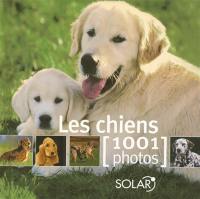 Les chiens