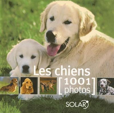 Les chiens