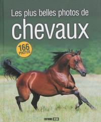 Les plus belles photos de chevaux