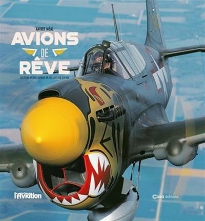 Avions de rêve : les plus beaux avions de collection en vol