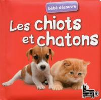 Bébé découvre : les chiots et chatons