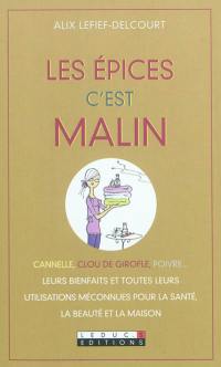 Les épices c'est malin : cannelle, clou de girofle, poivre... leurs bienfaits et toutes leurs utilisations méconnues pour la santé, la beauté et la maison