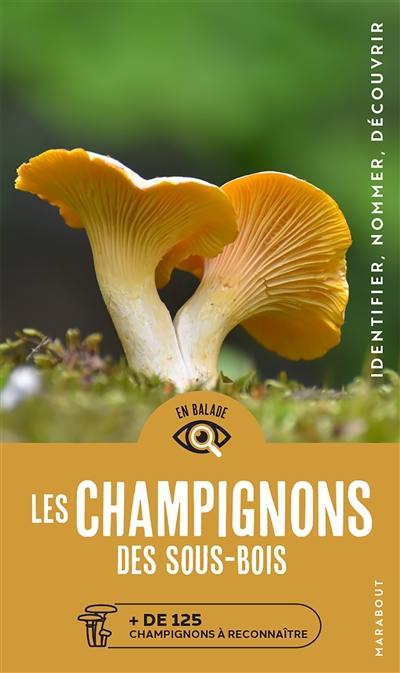 Les champignons des sous-bois : + de 125 champignons à reconnaître : identifier, nommer, découvrir