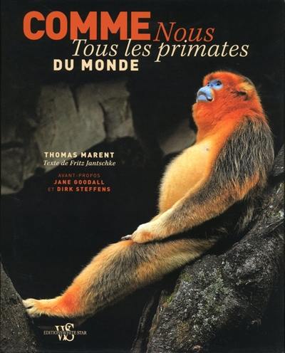 Comme nous, tous les primates du monde