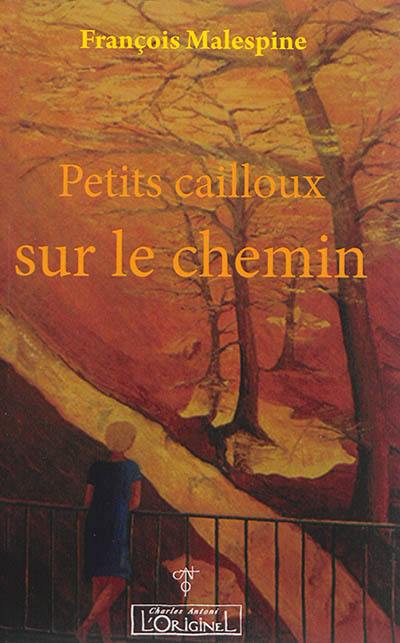 Petits cailloux sur le chemin