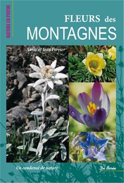 Fleurs des montagnes